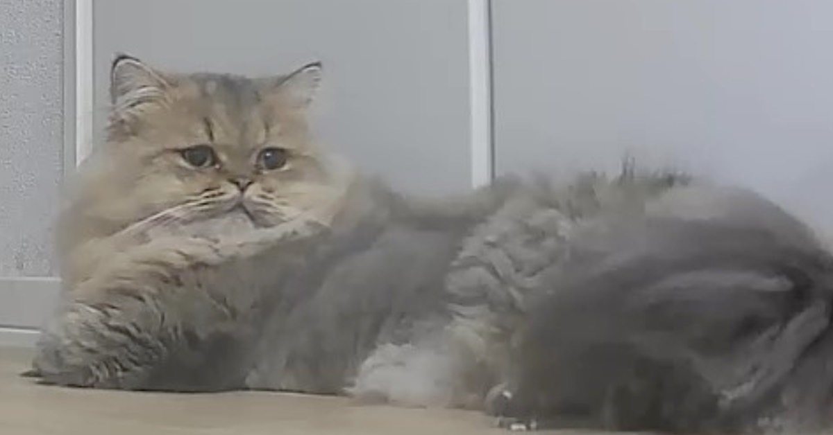 まりこの部屋