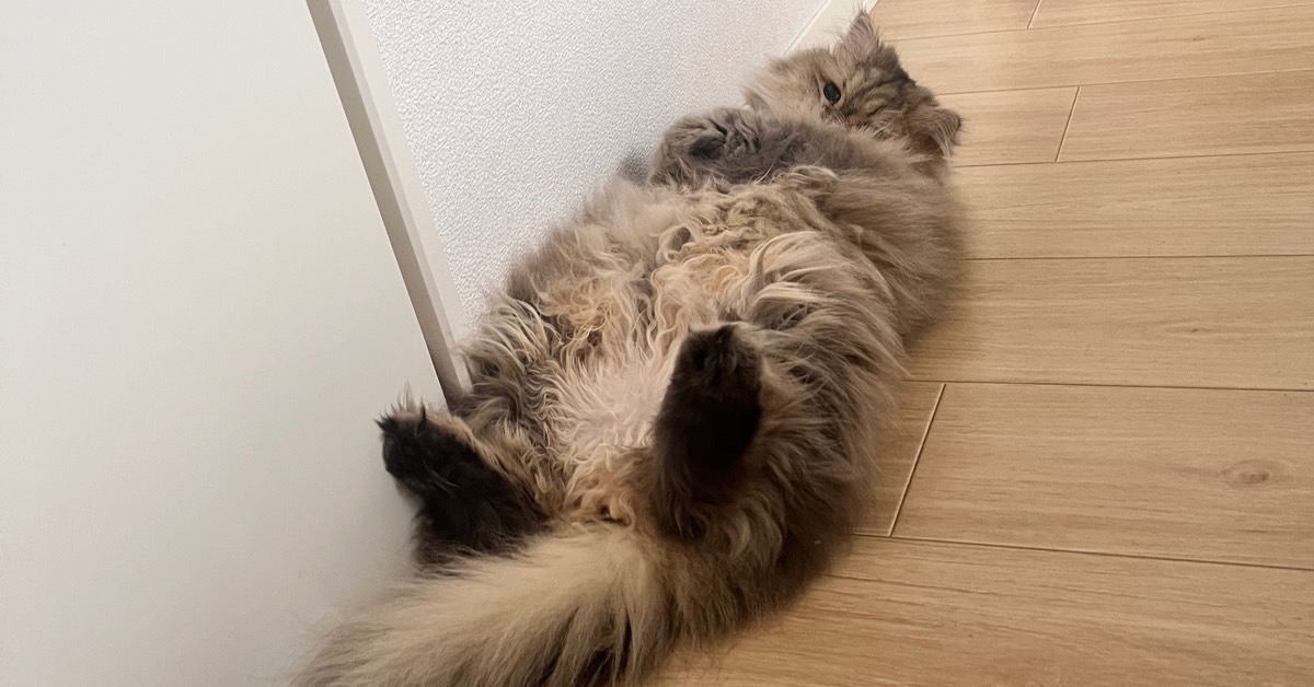 まりこの部屋