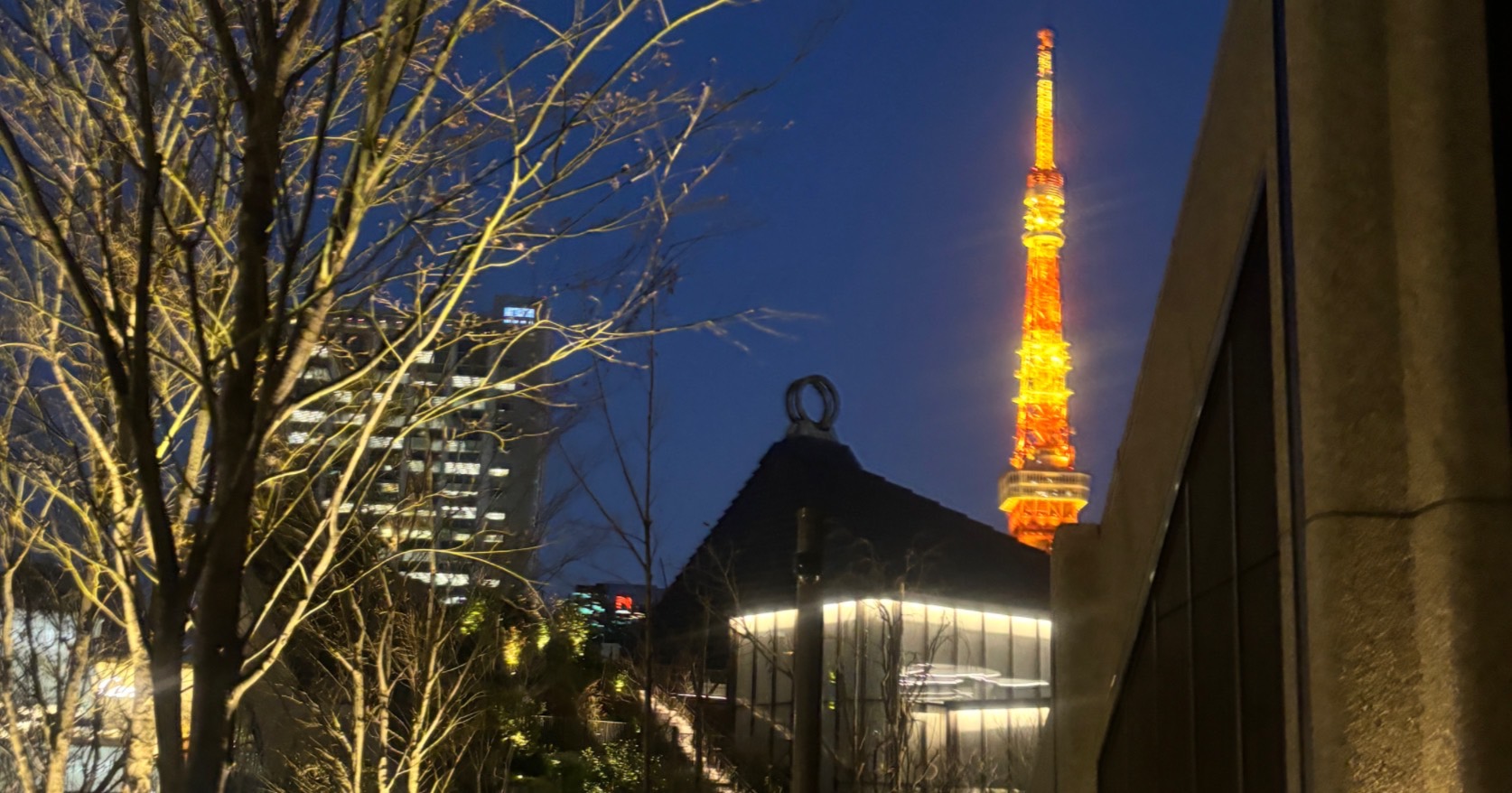 アフターヌーンティーに行ってきた(ᐡ _ _ ᐡ)