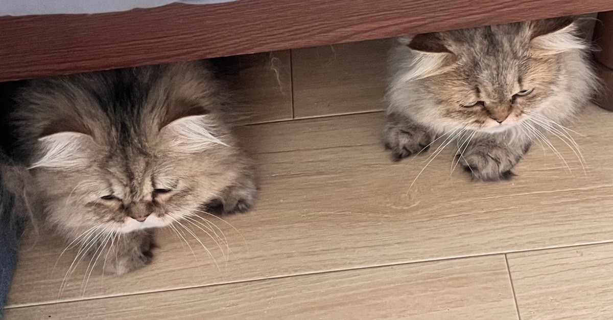 まりこの部屋