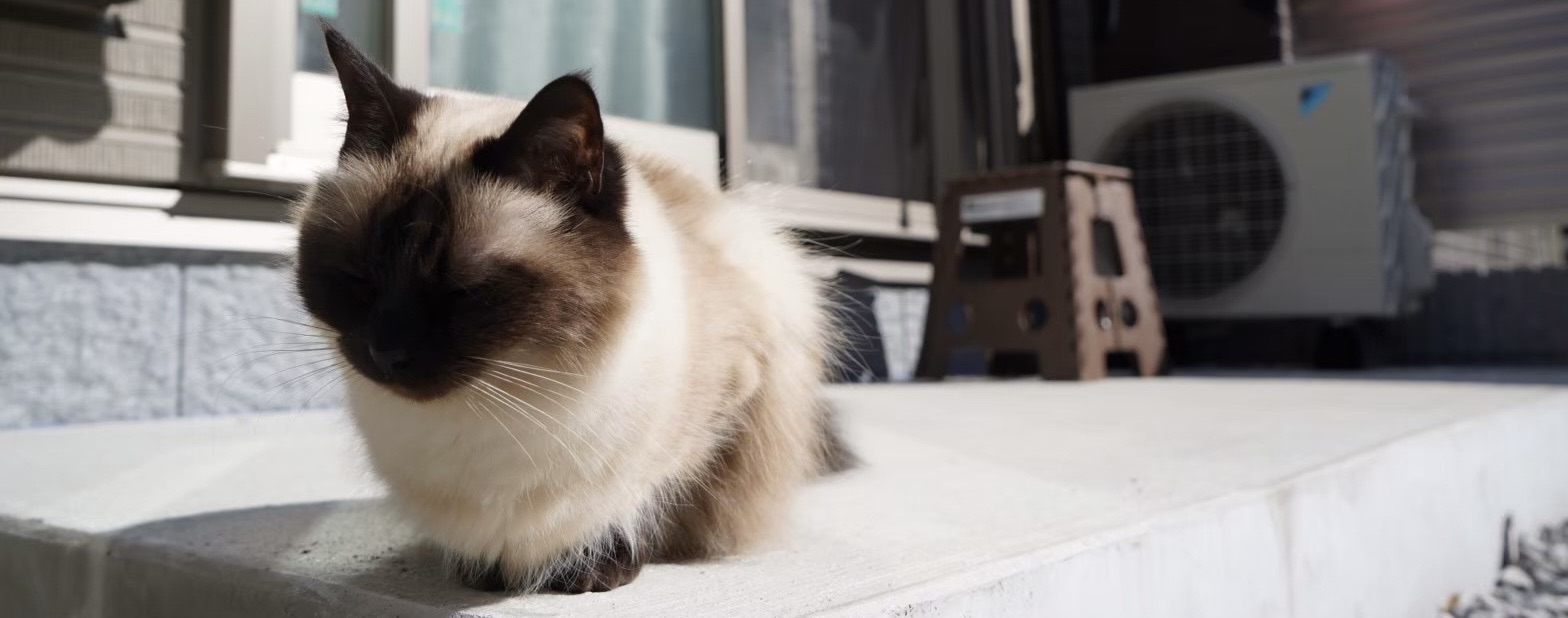 スナックマリコ