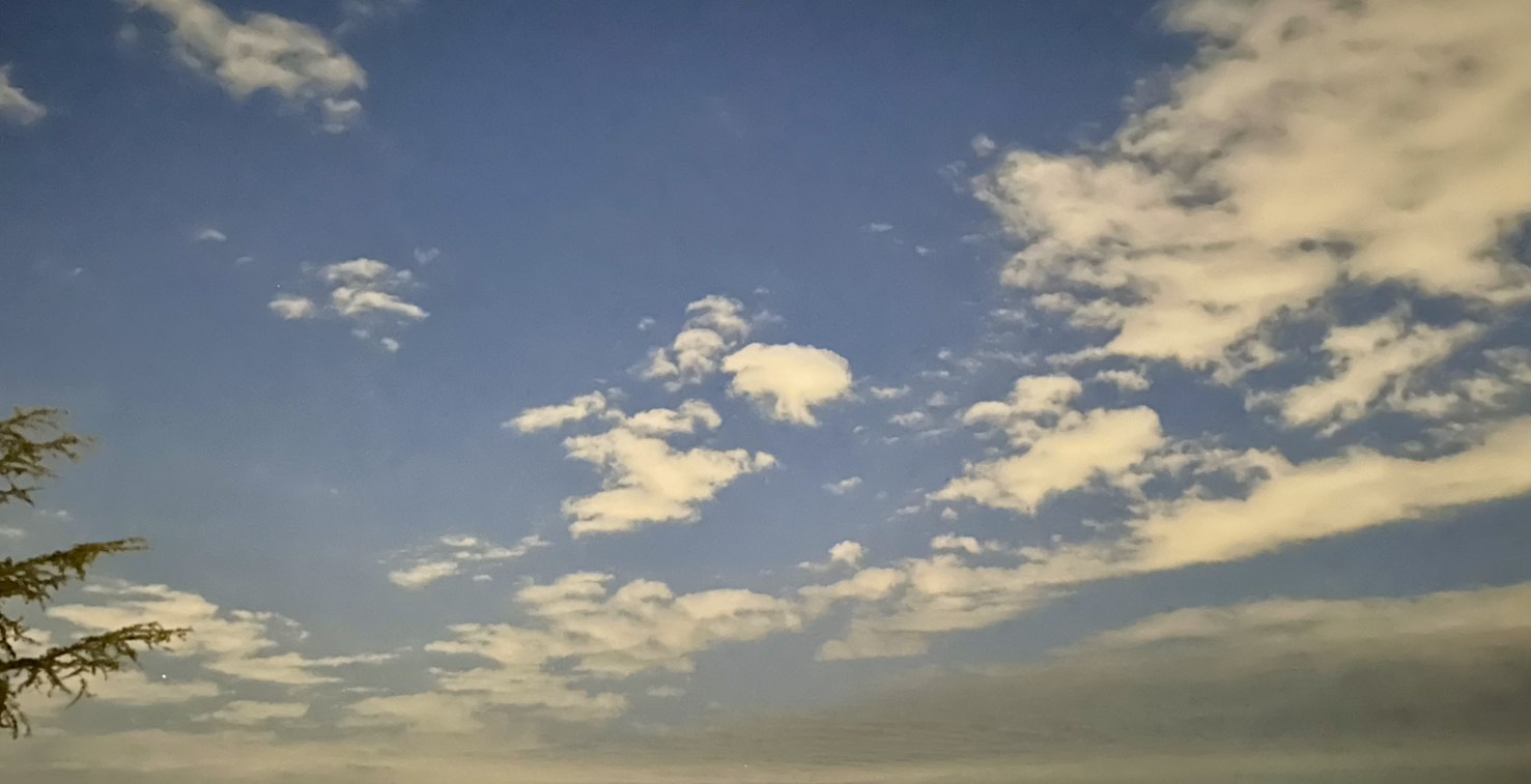 じょぶじょぶゆゆちゃま