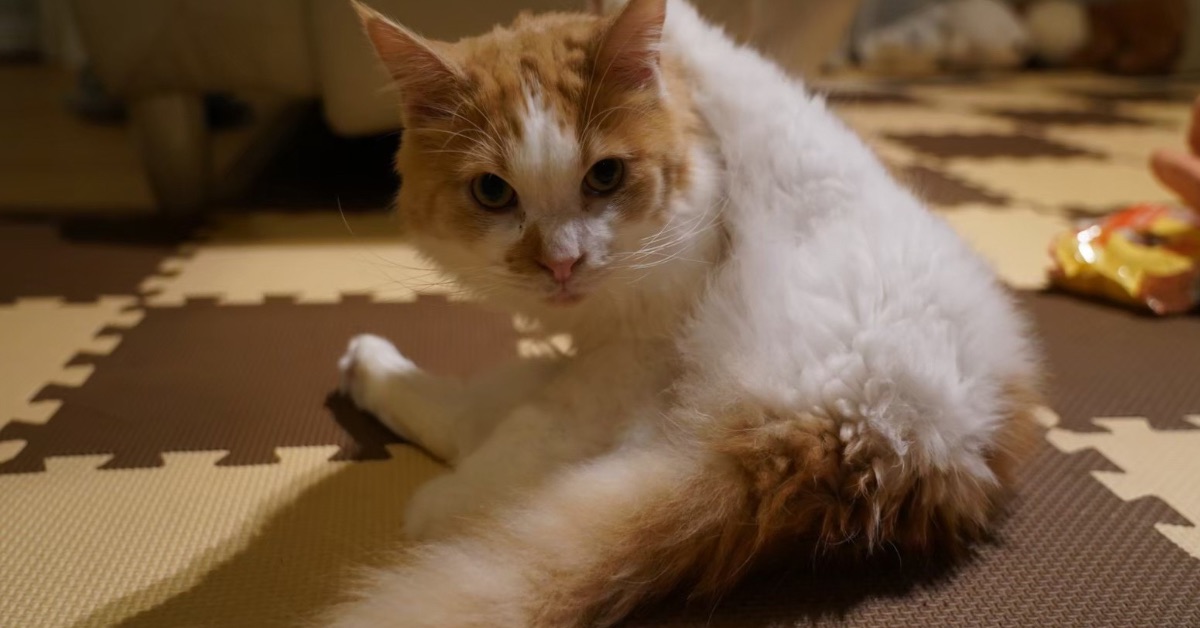 スナックマリコ