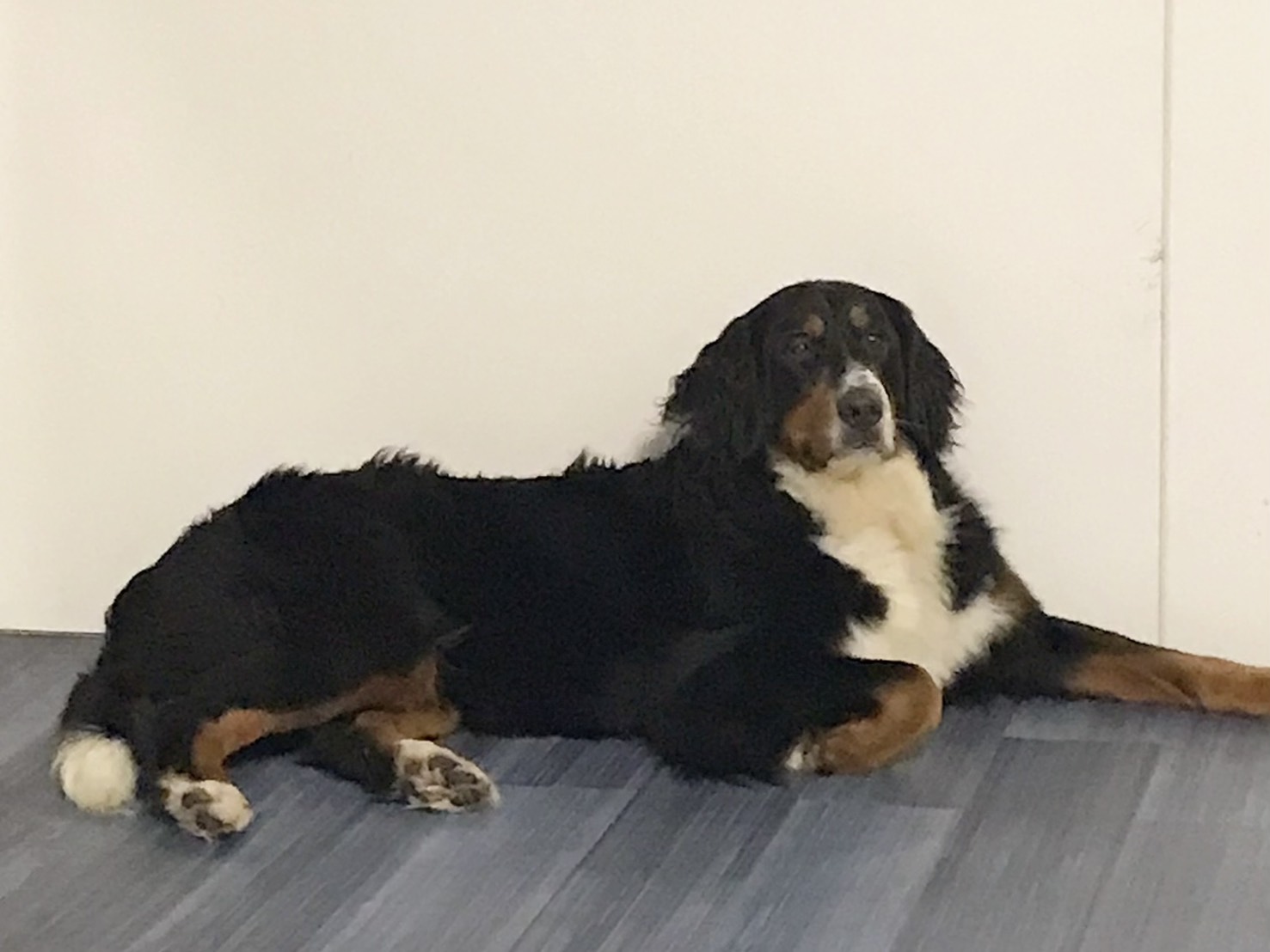 ここに当たり前はない