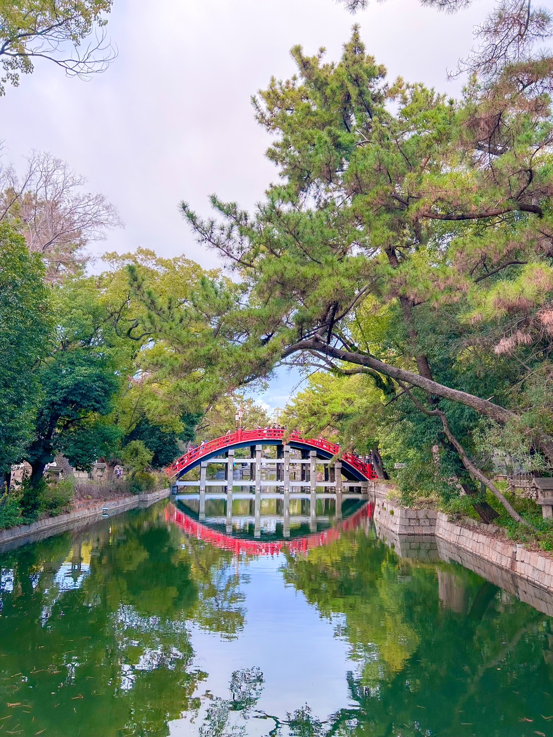 アイドルの1年の始まり✿