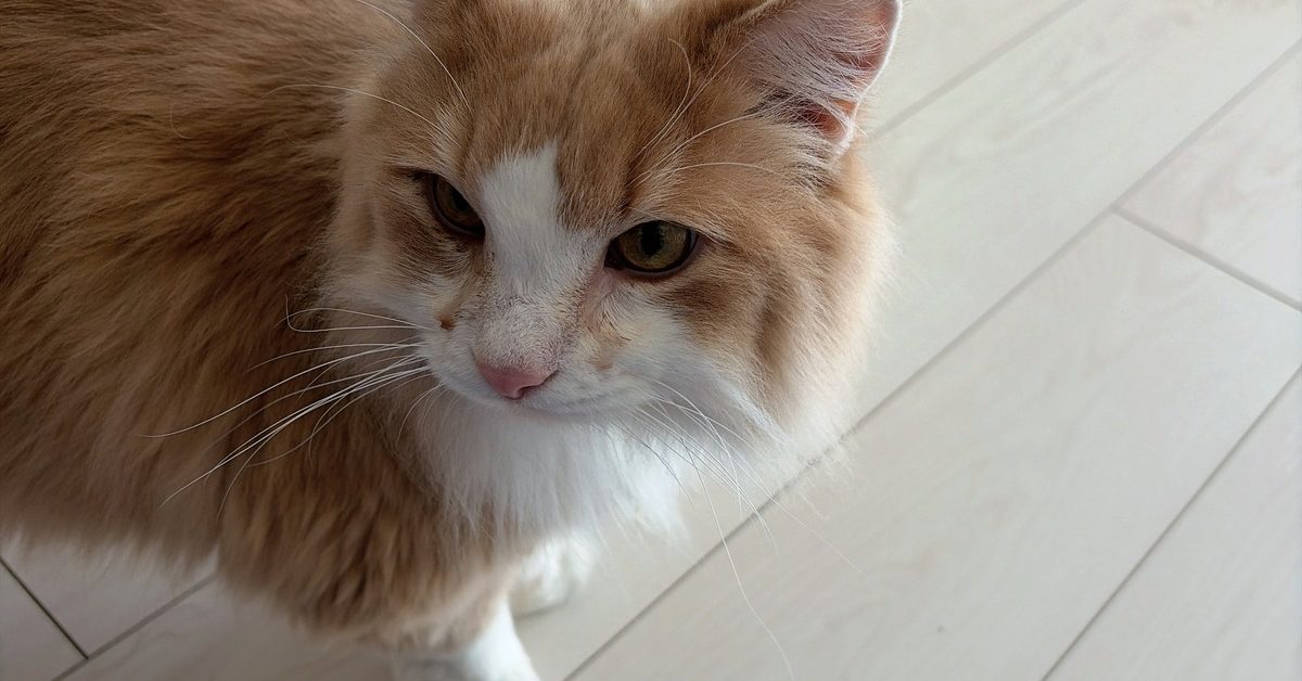 まりこの部屋|スナック